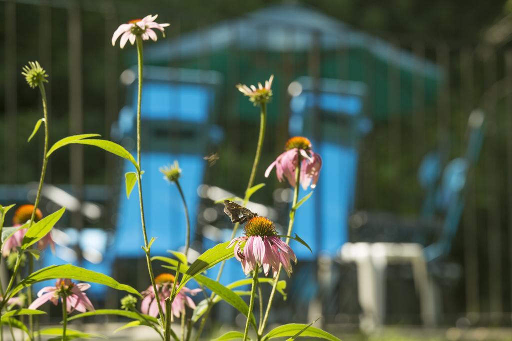 Brook Farm Inn Ленокс Екстер'єр фото